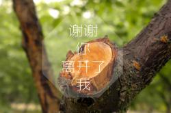 -节奏之主，当美国战车碾压智利，内马尔的一剑封喉与2026世界杯F组的唯一剧本