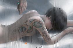 LOL赛事-逆转之光，2026世界杯B组生死战，伊朗用铁血反击撕碎芬兰，福登的魔法与伊朗的倔强
