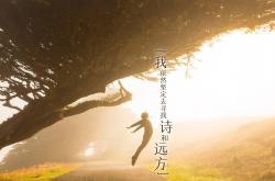 英雄联盟总决赛2025-撕裂的红色，当枫叶之师用钢铁洪流碾碎黄金一代，贝林厄姆的孤胆 brilliance 照亮了谁的黑夜？