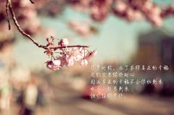 英雄联盟总决赛2025-撒哈拉旋风碾碎石油雄鹰，摩洛哥战术纪律击败尼日利亚天赋，奏响世界杯序曲