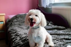 LOL决赛-班凯罗，跨越国界的统治力—一场数据盛宴的中外对话