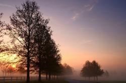 英雄联盟总决赛2025-跨越安第斯山脉，曼城欧冠鏖战破拜仁，罗德里—柄刺穿钢铁防线的利刃