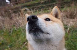 英雄联盟总决赛赛程-罗德里数据统治下的黑色幽默，拜仁用另一种丑陋终结比利亚雷亚尔的诗篇