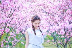 英雄联盟总决赛直播-冷锋过境！米切尔轰赛季新高主宰攻防 骑士北境风暴速冻费城