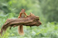 英雄联盟总决赛赛程-世界杯跨界风暴，黄蜂队降维打击上海男篮的奇幻之战