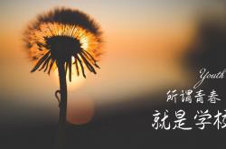 英雄联盟总决赛-当CBA遇见NBA，广东队与尼克斯的跨洋对决，米切尔用压制级发挥书写唯一传奇
