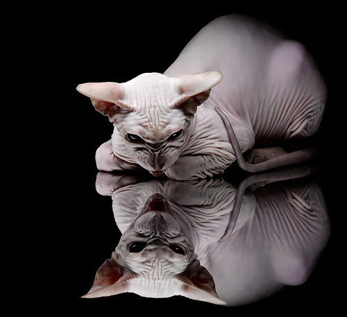 唯一性足球艺术,威尔士节奏掌控比利亚雷亚尔之战,萨内稳定输出不掉线