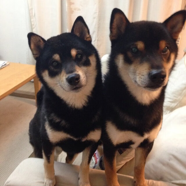 冰与火的对决,霍勒迪42分超神夜点燃赛场