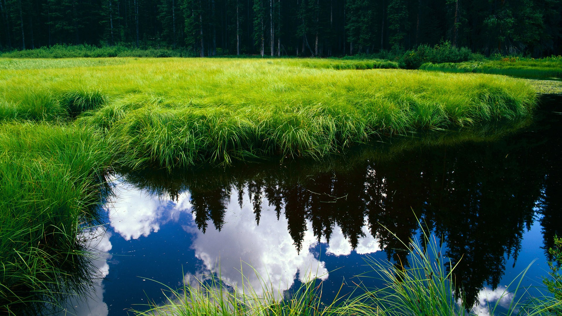 冰与火,帕尔默的独舞与日本队的秒针绝杀