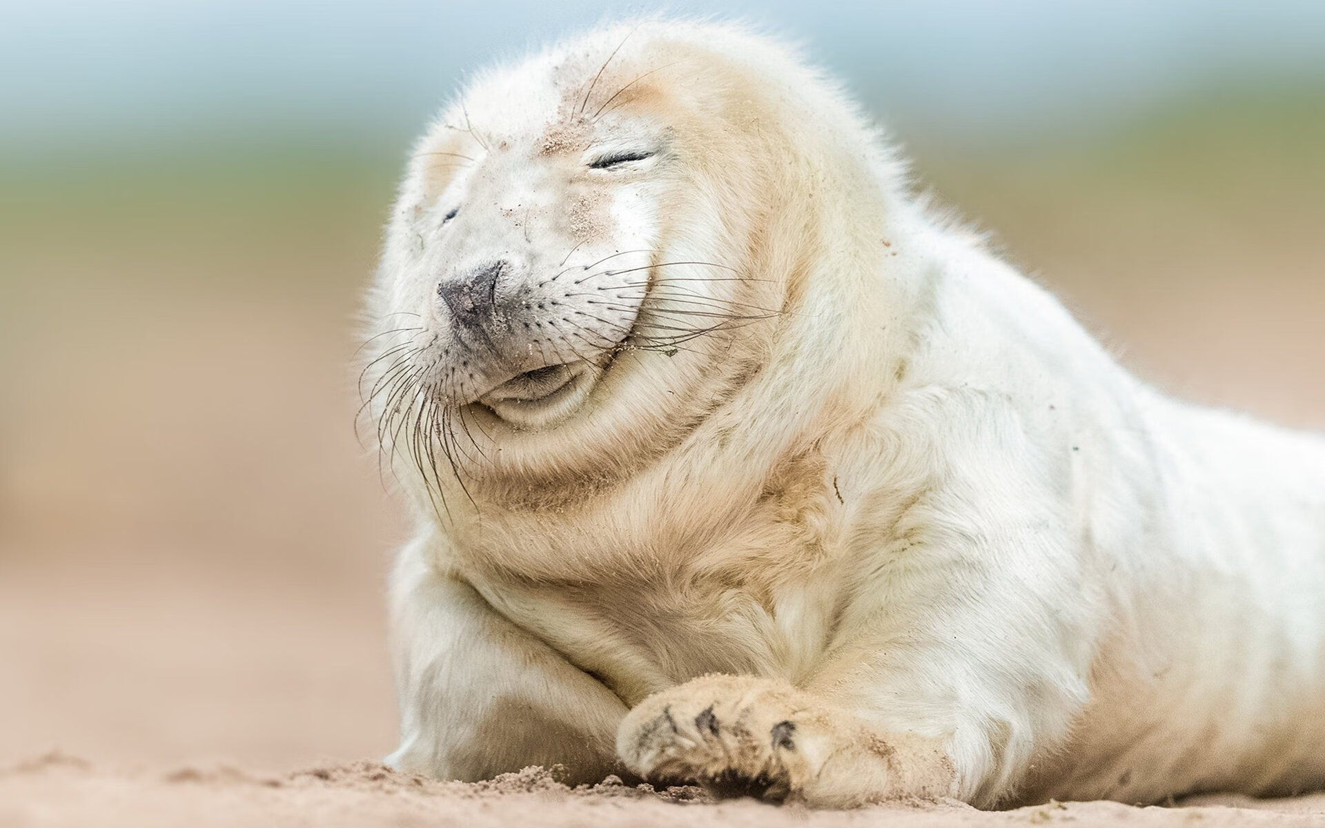 三色天撕裂白蓝风暴,阿根廷惊险绞杀塞维利亚,基耶萨从幽暗到光明的瞬间觉醒