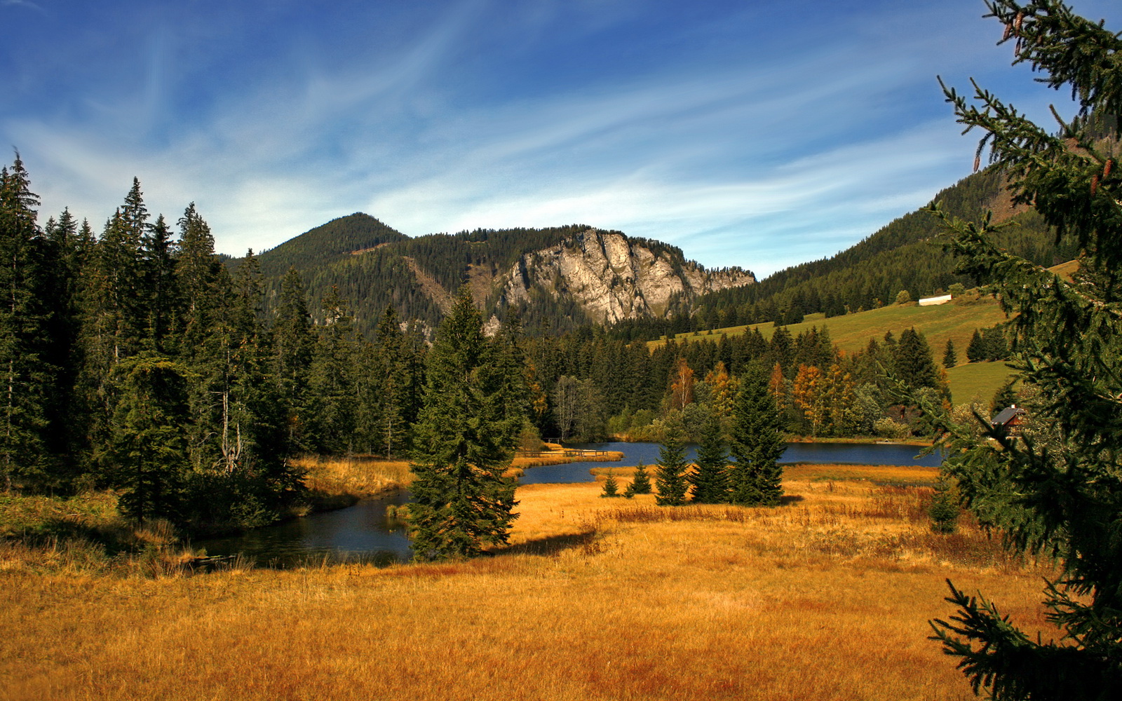 诸神黄昏下的血脉僭越，当凯尔特人冰封东契奇，布伦森于亚平宁加冕新神