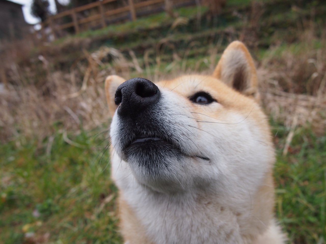 罗德里数据统治下的黑色幽默，拜仁用另一种丑陋终结比利亚雷亚尔的诗篇