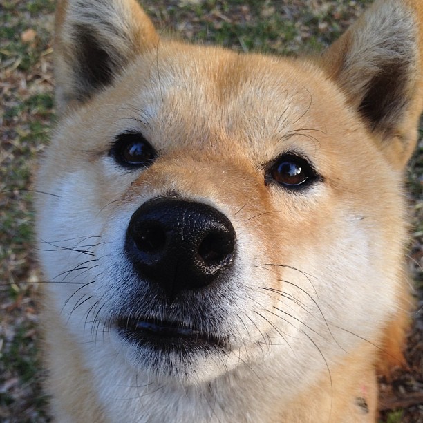 当波斯铁骑遭遇加泰巨舰，福登在和平友谊赛中的世纪演出