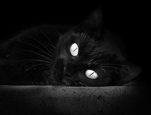 决胜0.4秒!上海男篮压哨绝杀老鹰,引爆世界排名焦点战