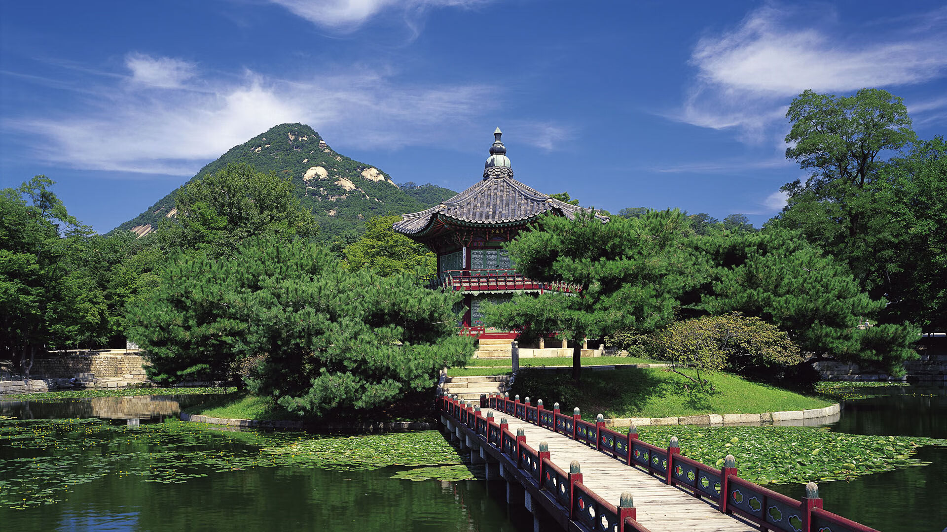 伊斯坦布尔之夜，卡马文加的关键先生时刻，土耳其逆转风暴轻取埃及