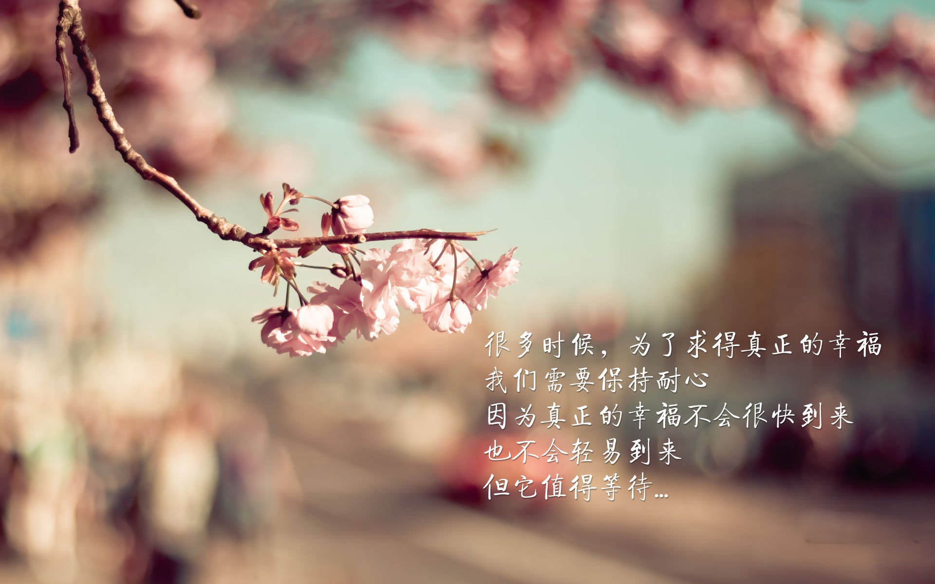 格列兹曼的第四模式,当世界排名之夜成为一个人的末节独奏