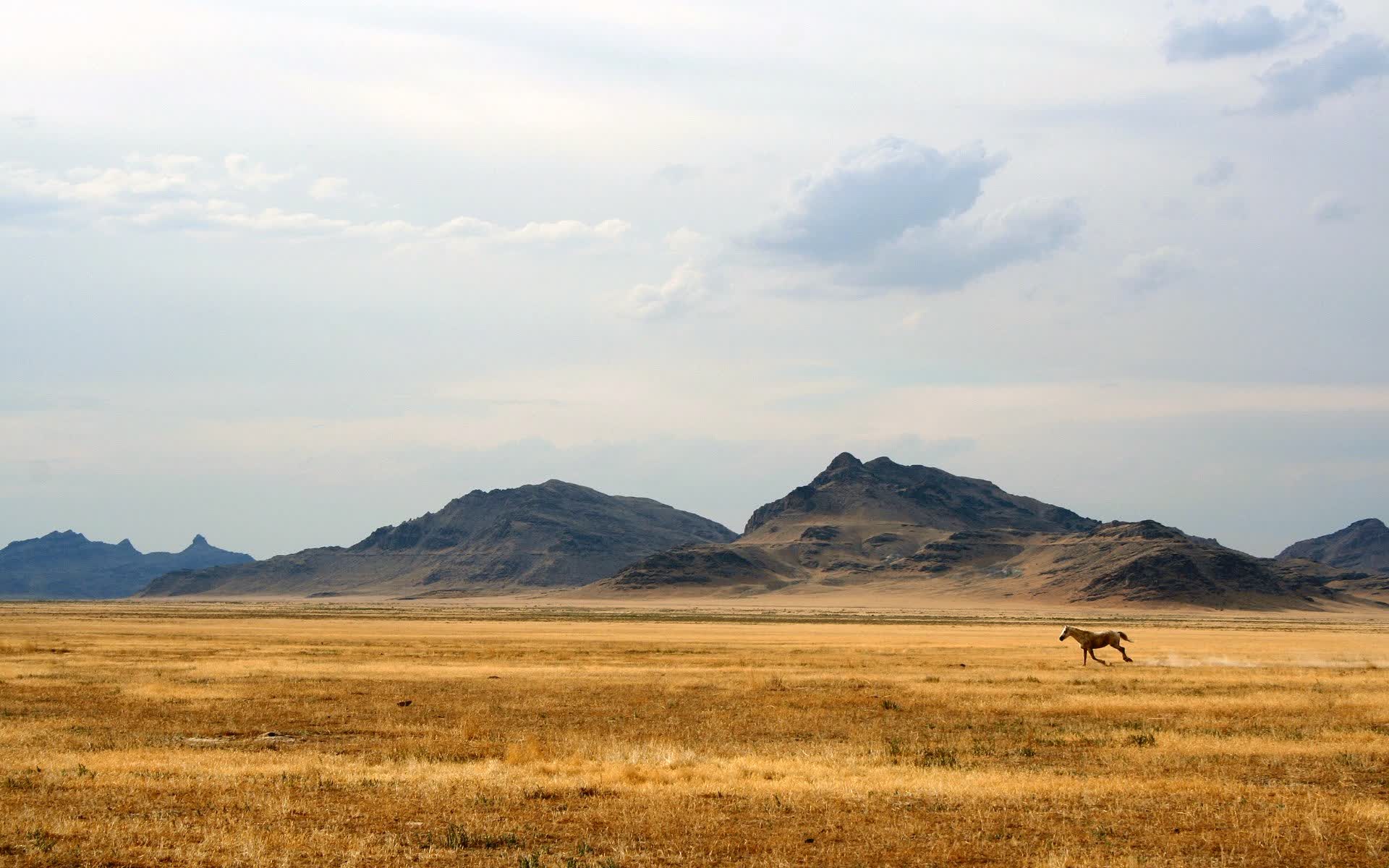唯一之战，2026世界杯焦点战，乌拉圭以攻守转换之刃斩落比利时，罗德里戈光芒四射