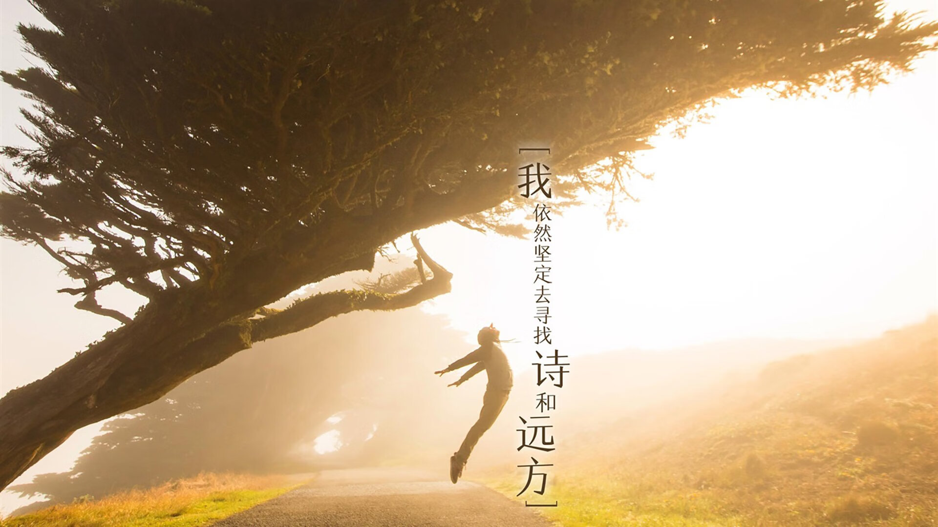 2026世界杯历史重演,挪威铁血防线碾碎保加利亚,布罗佐维奇上演中场大师课