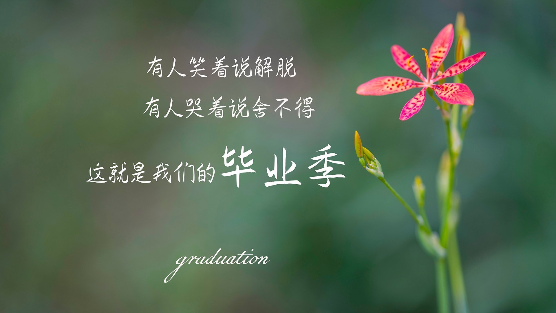 绝境中的致命弧线,拉什福德一击封喉,日本横扫芬兰引爆2026世界杯G组唯一悬念